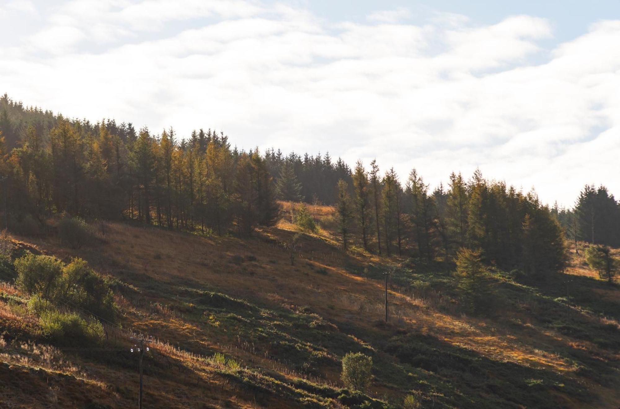 Riverside Great House In The Afan Forest Bike Park By Staystaycations Glyncorrwg Luaran gambar